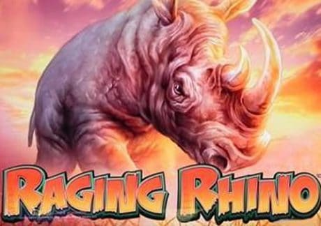 WMS Raging Rhino Video Slot Review