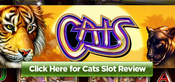IGT’s Cats Slot Review Now Live