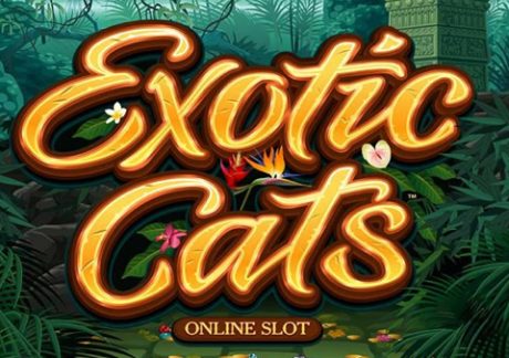 Microgaming Exotic Cats Slot Review and Free Play