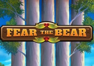 Playtech Fear the Bear Slot
