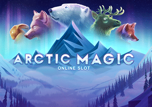 Arctic Magic Video Slot Review