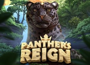 Panther's Reign slot